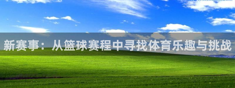 新赛事：从篮球赛程中寻找体育乐趣与挑战