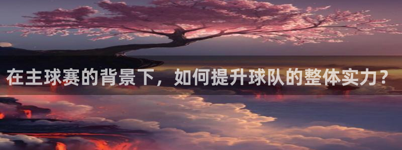 熊猫体育链接：在主球赛的背景下，如何提升球队的整体实力？