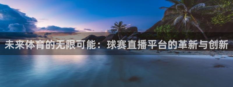 熊猫体育app官网下载地址：未来体育的无限可能：球赛直播平台