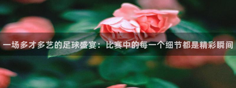 熊猫体育直播nba：一场多才多艺的足球盛宴：比赛中的每一个细