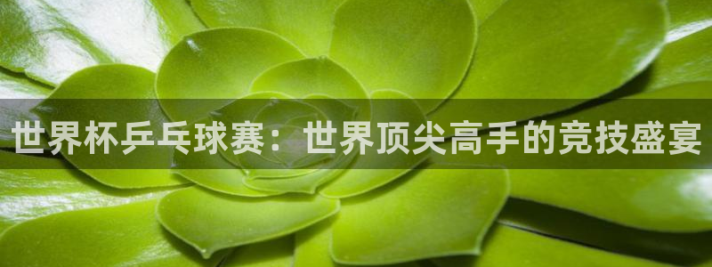 熊猫体育官网app下载安装：世界杯乒乓球赛：世界顶尖高手的竞
