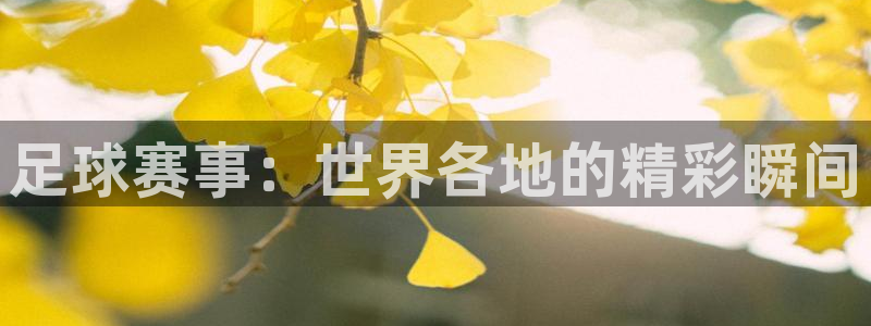 熊猫体育篮球直播：足球赛事：世界各地的精彩瞬间