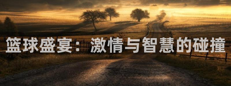 熊猫体育官方网站-登录入口app：篮球盛宴：激情与智慧的碰撞