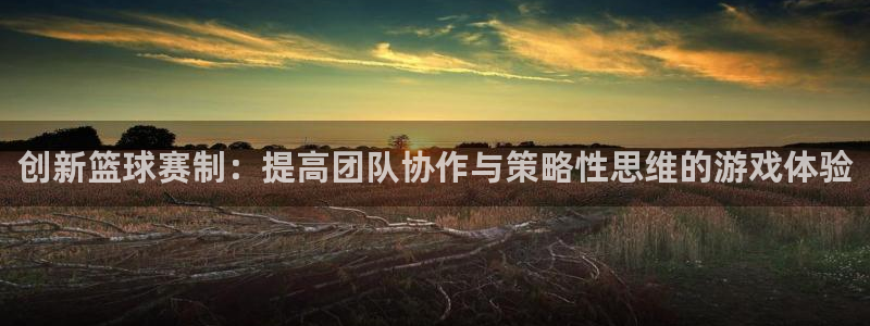 熊猫体育链接：创新篮球赛制：提高团队协作与策略性思维的游戏体